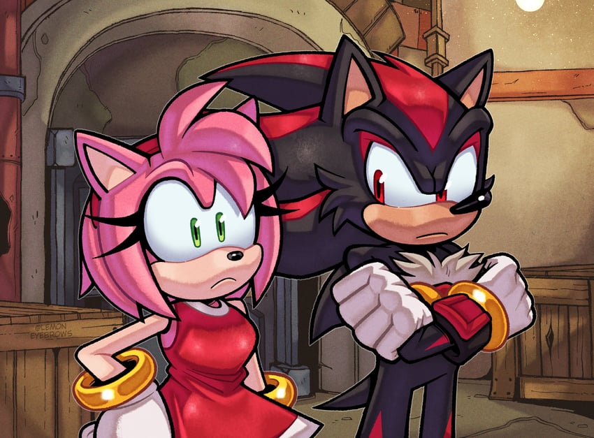 amy rose and shadow the hedgehog (sonic) drawn by lemon_eyebrows