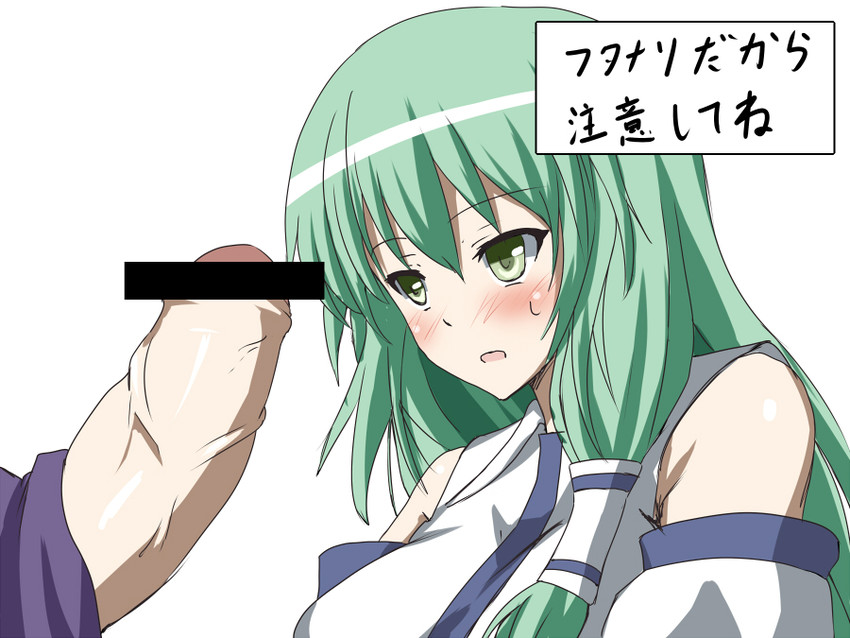 kochiya sanae and moriya suwako (touhou) drawn by shiseki_hirame
