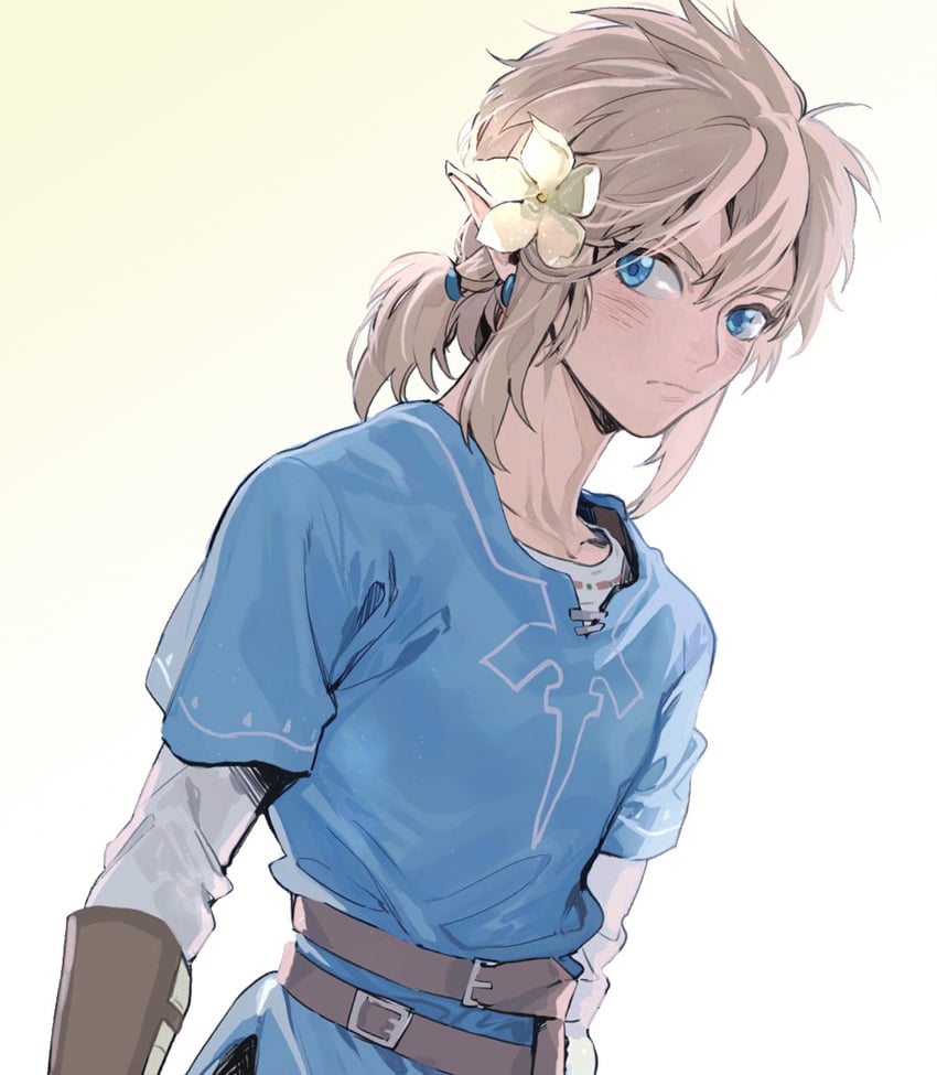 link (the legend of zelda and 1 more) drawn by gyou_chin