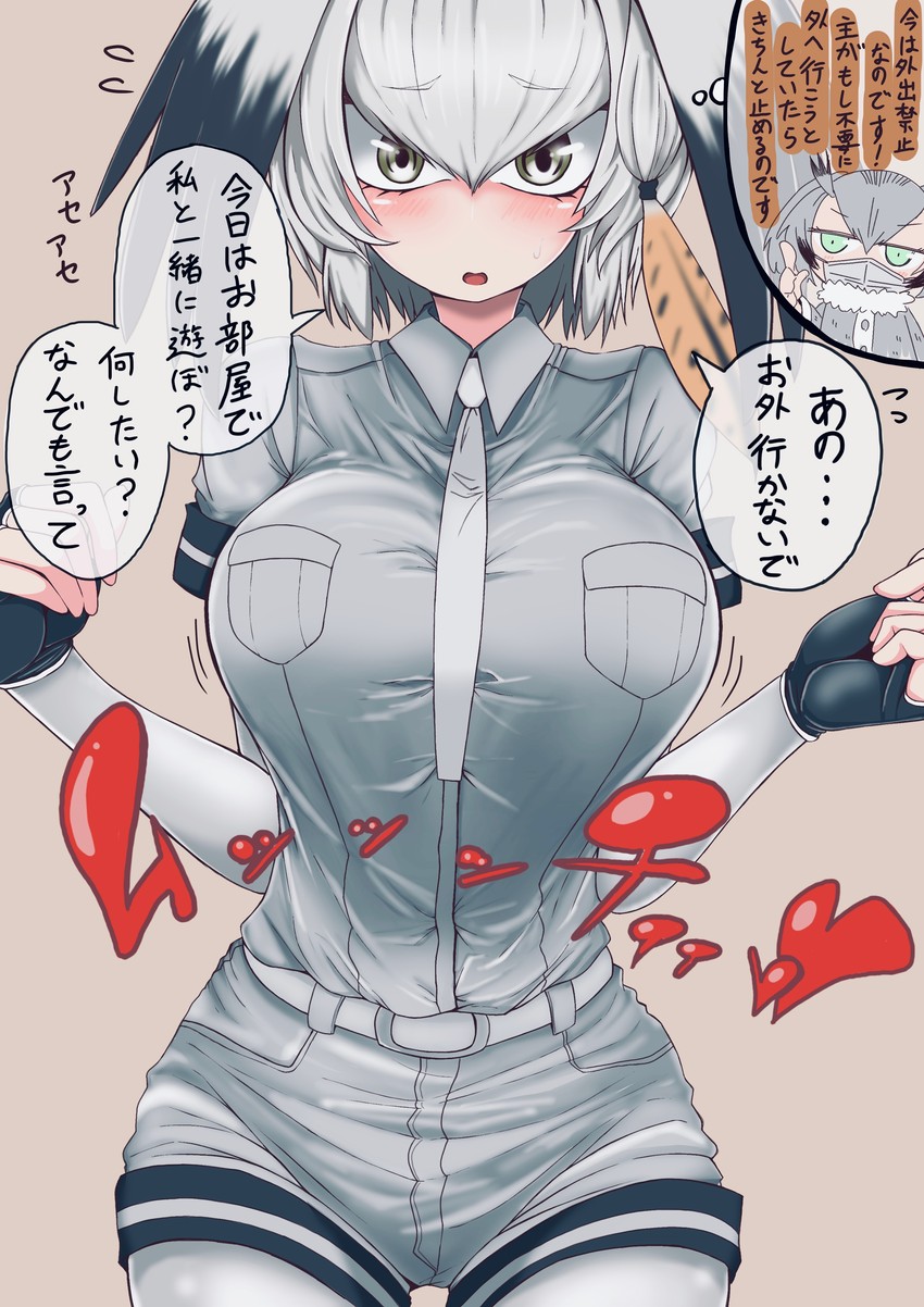 shoebill and northern white-faced owl (kemono friends) drawn by tea_(pero55ss)