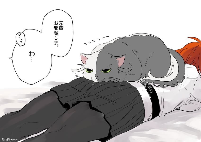 fujimaru ritsuka and ashiya douman (fate and 1 more) drawn by nyarou
