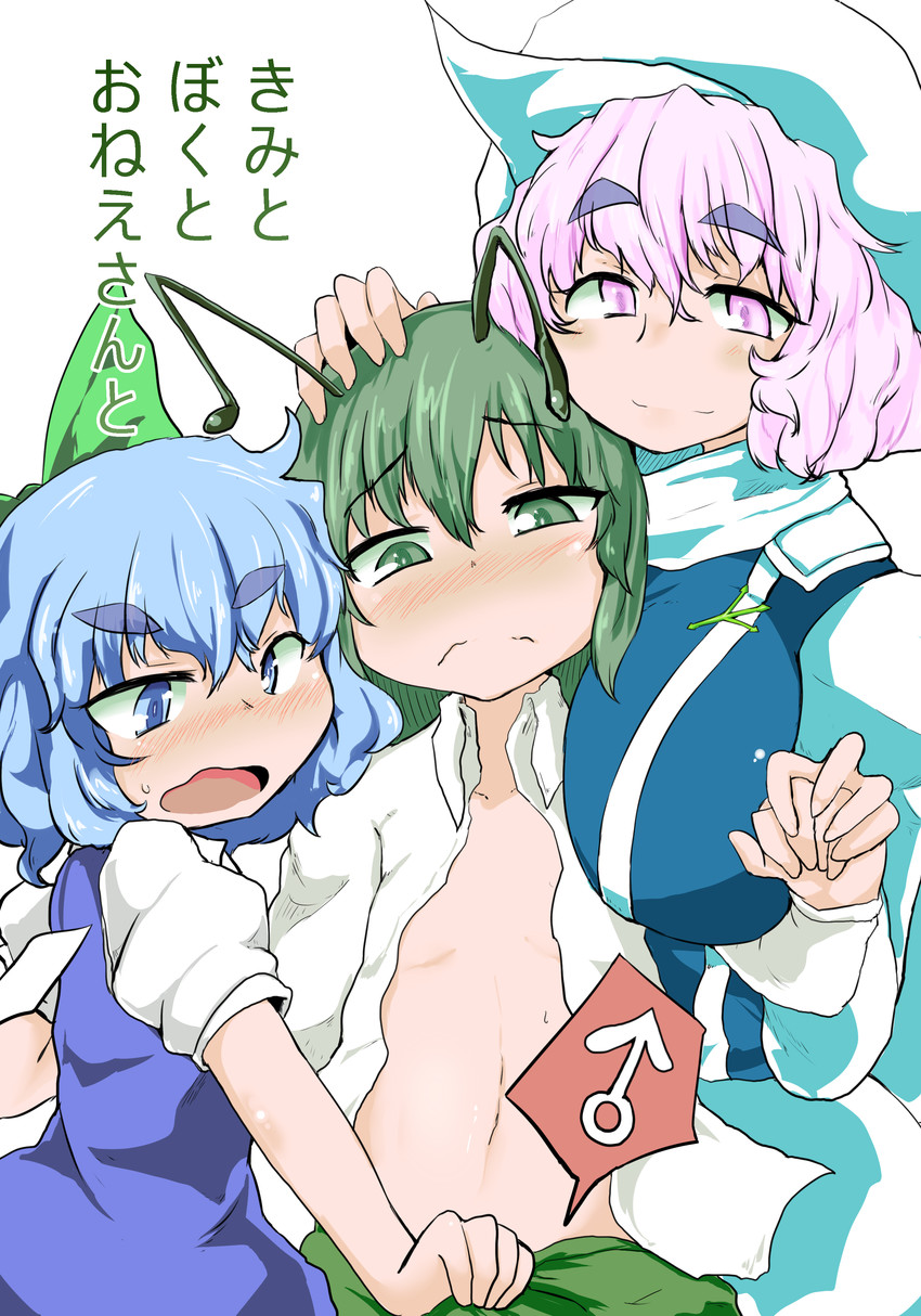 cirno, wriggle nightbug, and letty whiterock (touhou) drawn by ramototu