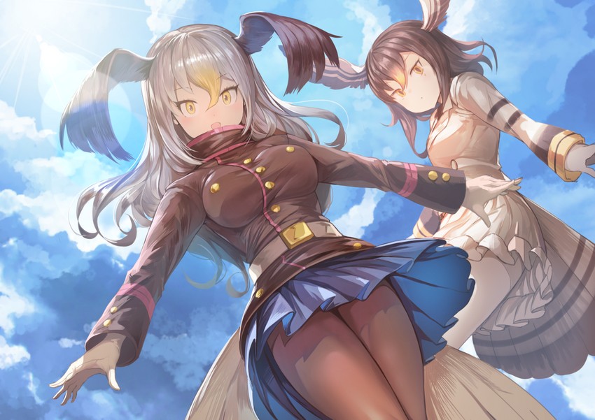 bald eagle and northern goshawk (kemono friends) drawn by koruse