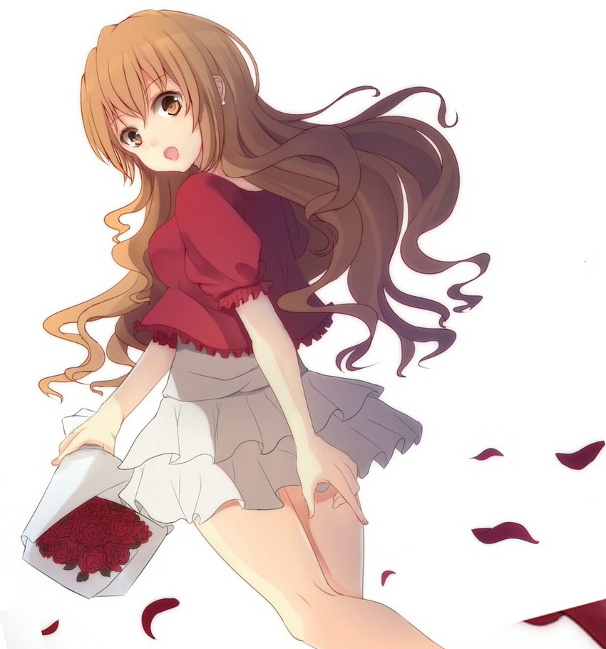 aisaka taiga and kaga kouko (toradora! and 2 more) drawn by saito_(pigrank)