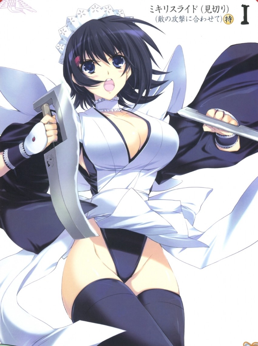 iroha (queen's blade and 2 more) drawn by iizuki_tasuku