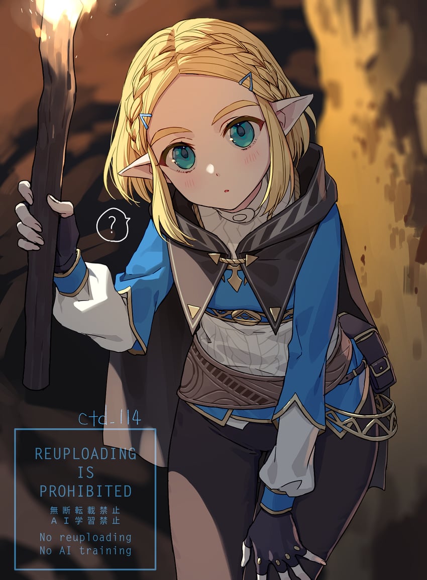 princess zelda (the legend of zelda and 1 more) drawn by ctd_114