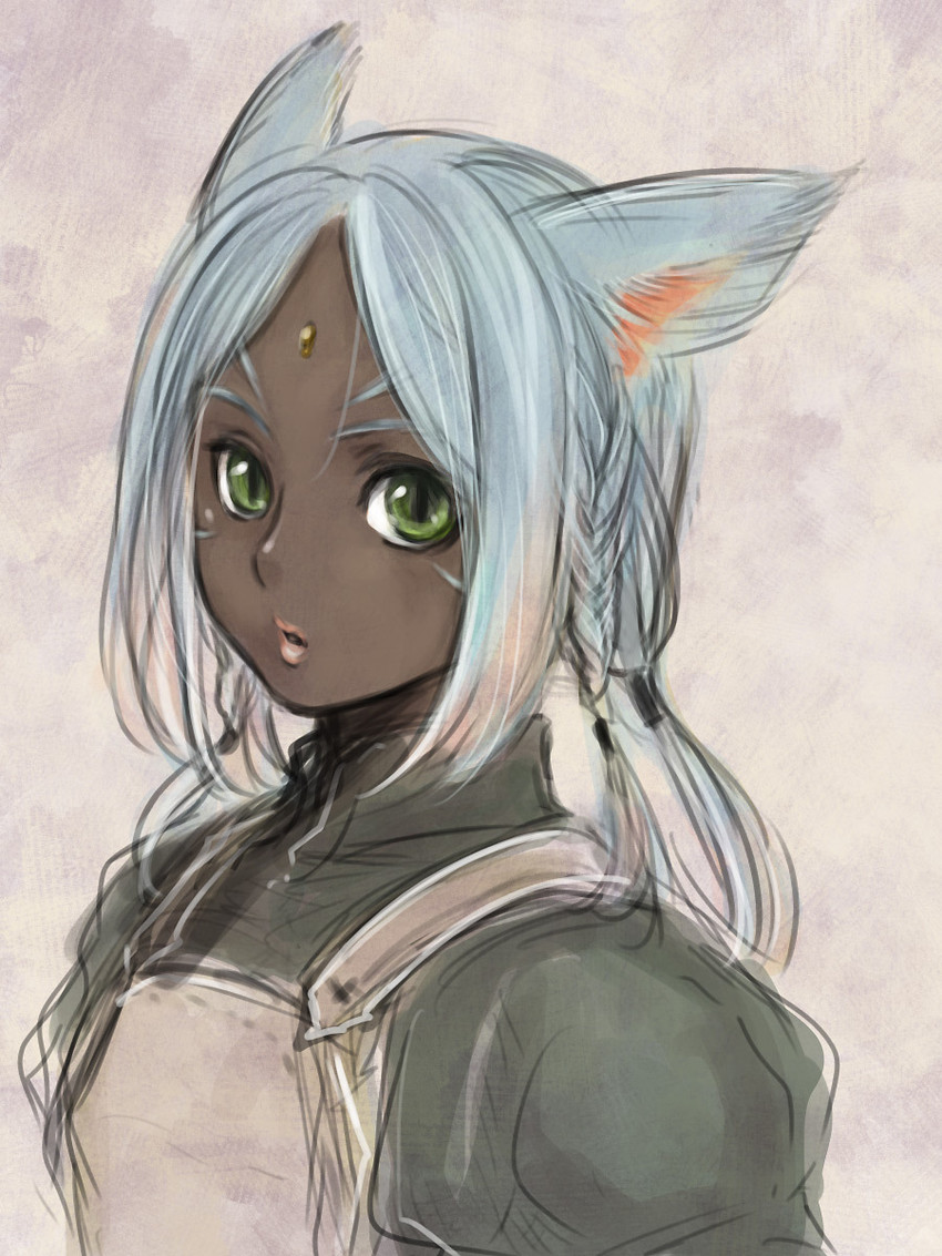 warrior of light (final fantasy and 1 more) drawn by doraeshi