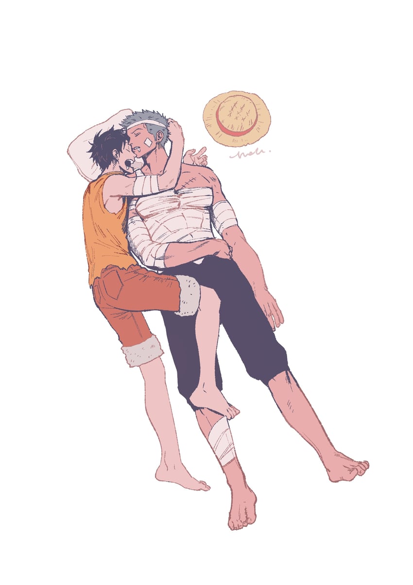 monkey d. luffy and roronoa zoro (one piece) drawn by nok_(nok_1)