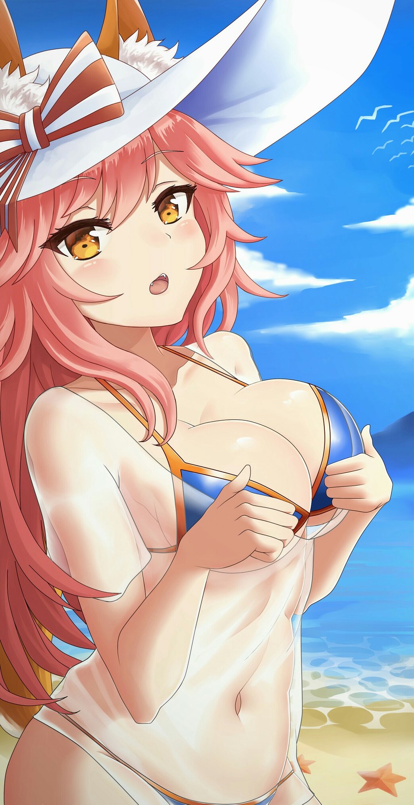 tamamo and tamamo no mae (fate and 1 more) drawn by da39123