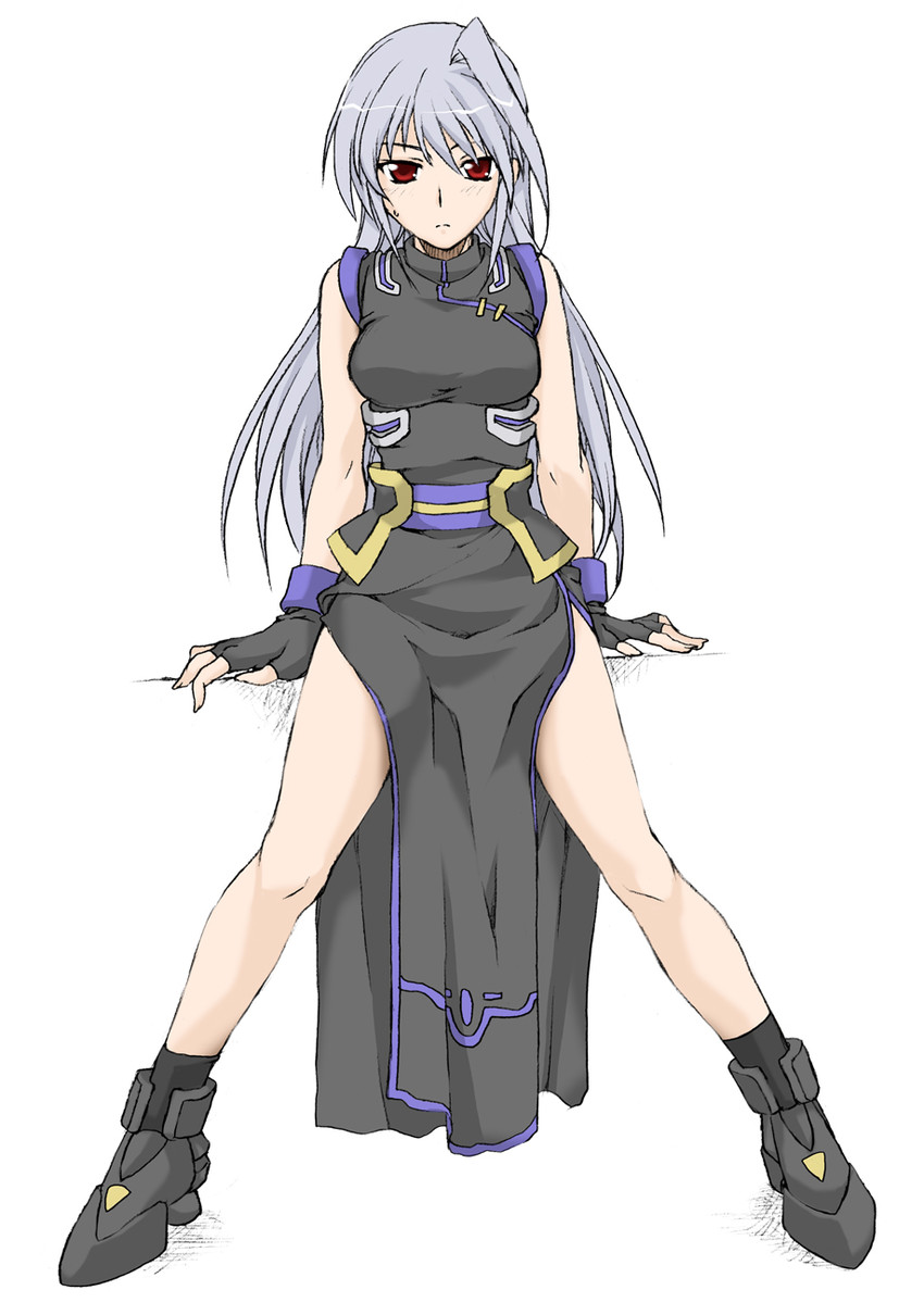 reinforce (lyrical nanoha and 3 more) drawn by elf_(stroll_in_the_woods)