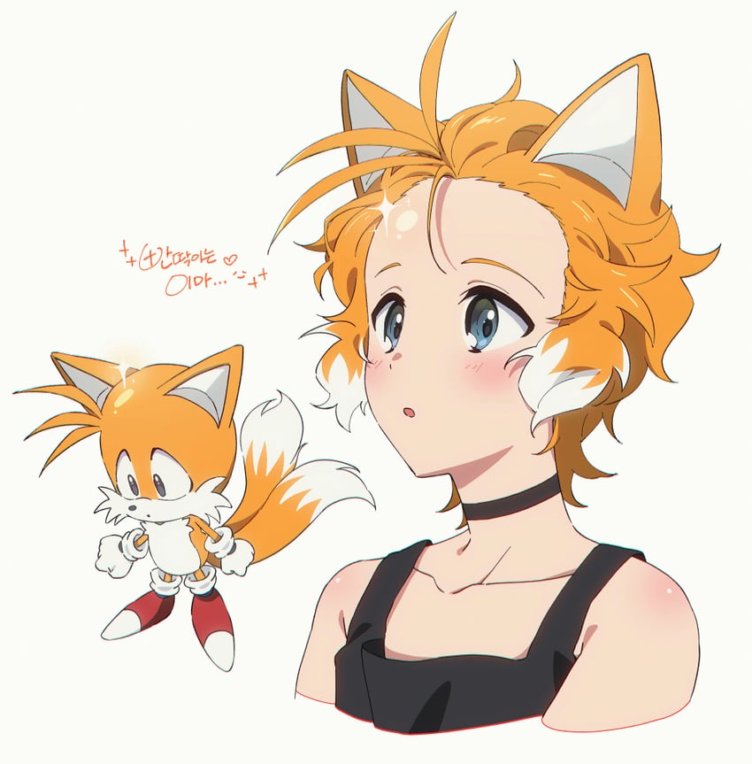 tails (sonic and 1 more) drawn by banri_0917