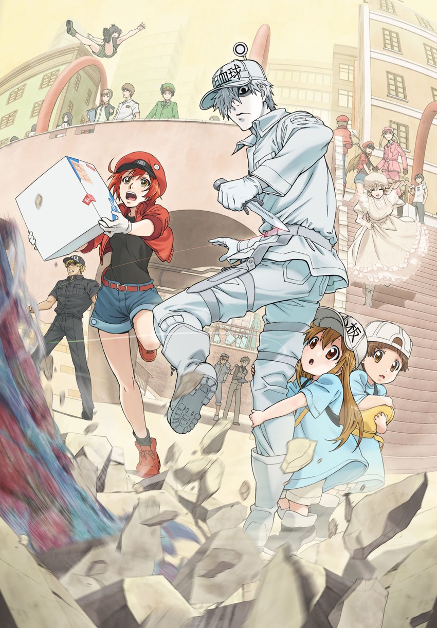 platelet, white blood cell, red blood cell, ae-3803, u-1146, and 15 more (hataraku saibou)