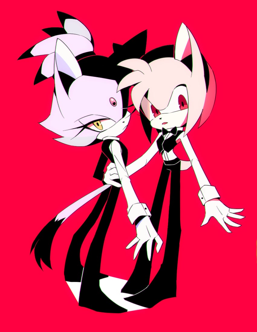 amy rose and blaze the cat (sonic) drawn by holoskas
