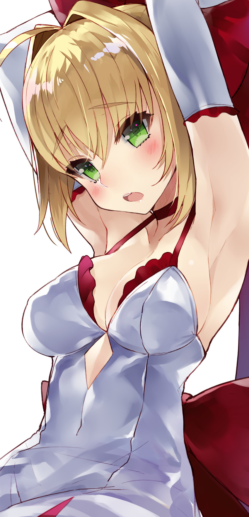 nero claudius (fate and 1 more) drawn by kou_mashiro