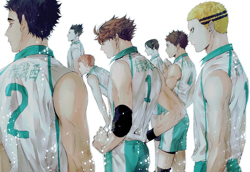 oikawa tooru, iwaizumi hajime, matsukawa issei, kunimi akira, hanamaki takahiro, and 2 more (haikyuu!!) drawn by ummm_mmma