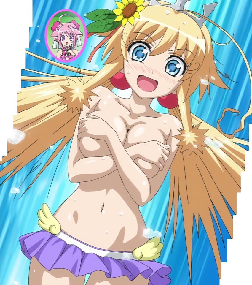 millhiore f. biscotti and adelaide grand marnier (dog days)