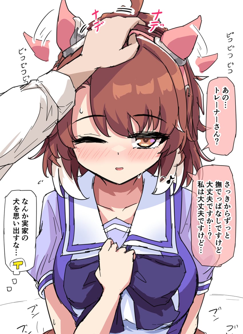 trainer, t-head trainer, and dantsu flame (umamusume) drawn by gryebooks