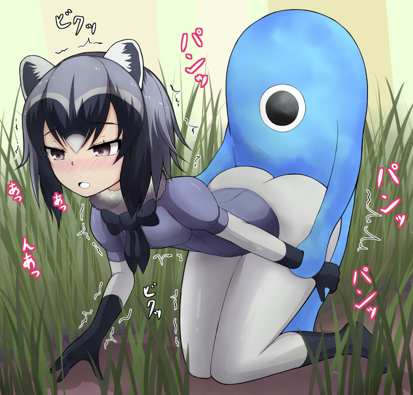 common raccoon and cellien (kemono friends) drawn by yukyou_(pixiv27083031)