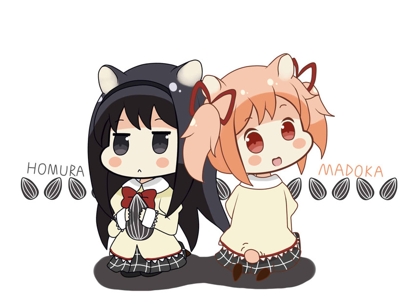 akemi homura and kaname madoka (mahou shoujo madoka magica) drawn by yukiko_(charlo_tte)