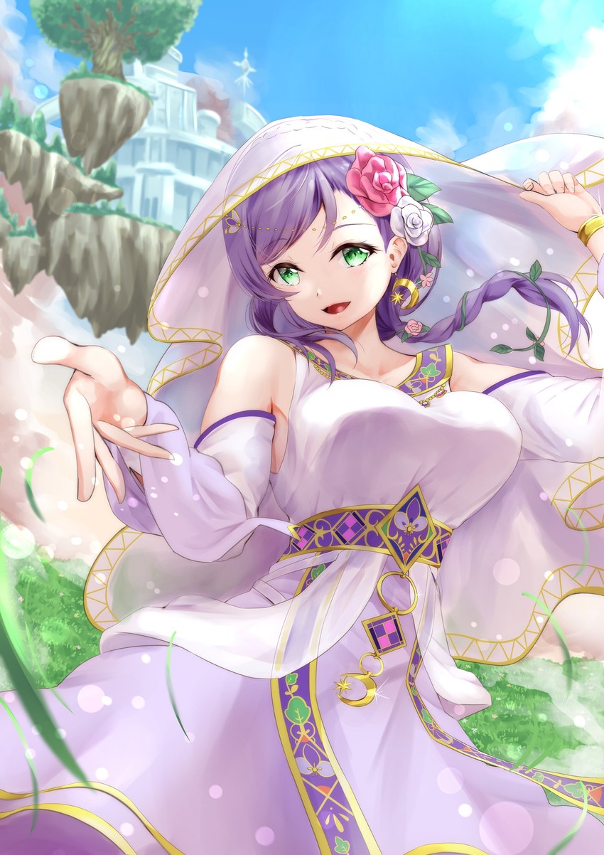 tojo nozomi (love live! and 1 more) drawn by hayaoki_(asagi-iro_seishun-bu)
