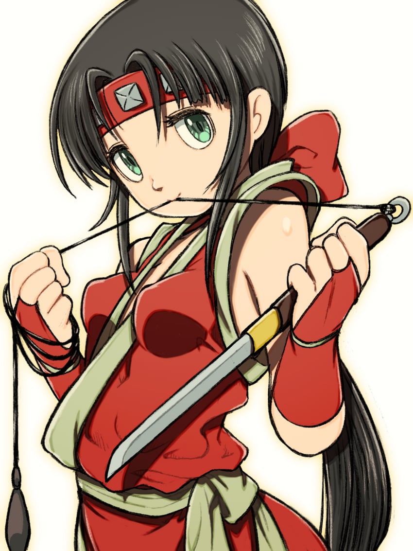 kasumi (ninja master's: haou ninpou chou) drawn by beeru_(veil8801)