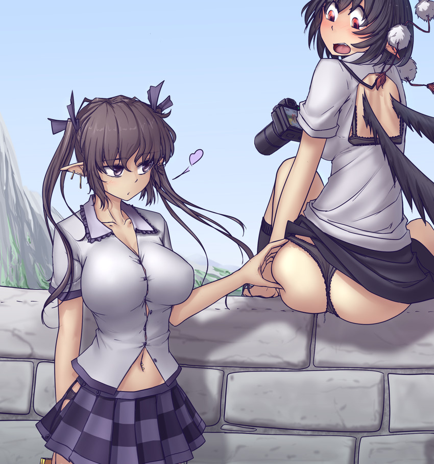 shameimaru aya and himekaidou hatate (touhou) drawn by hater_(hatater)