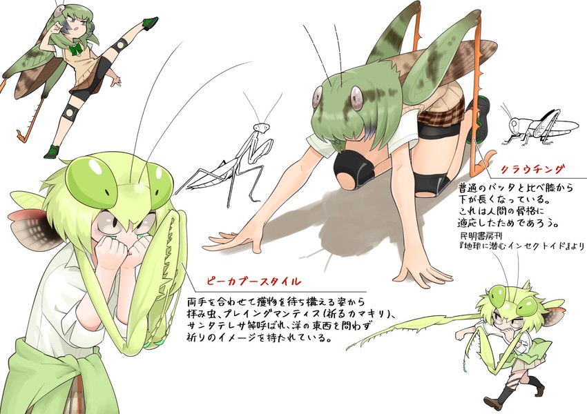 mantis akiyama and grasshopper inoue (original and 1 more) drawn by evolvingmonkey