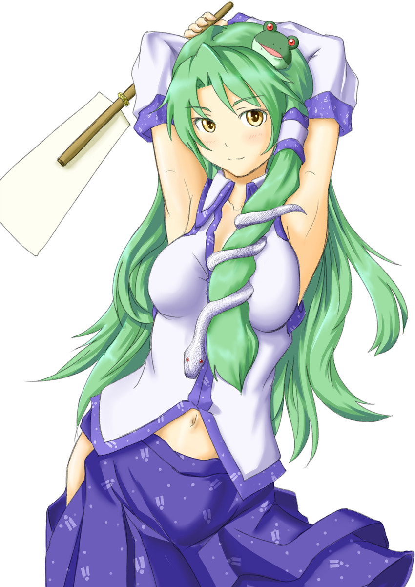 kochiya sanae (touhou) drawn by rabinidaddo
