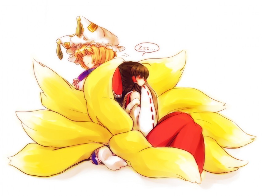 hakurei reimu and yakumo ran (touhou) drawn by myuu_(hellomagic)