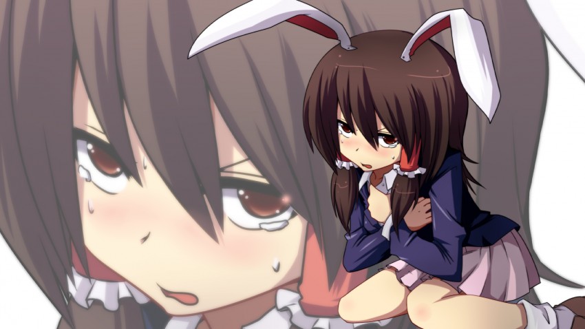 hakurei reimu and reisen udongein inaba (touhou) drawn by leon_(mikiri_hassha)