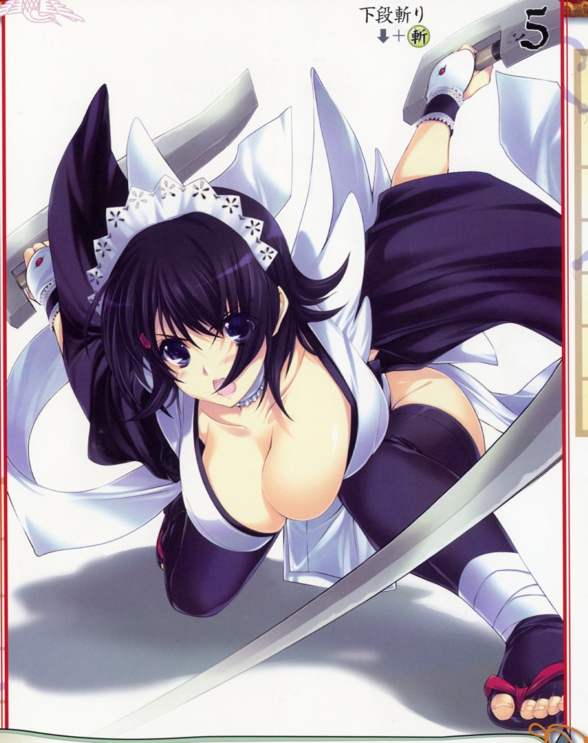 iroha (queen's blade and 2 more) drawn by iizuki_tasuku