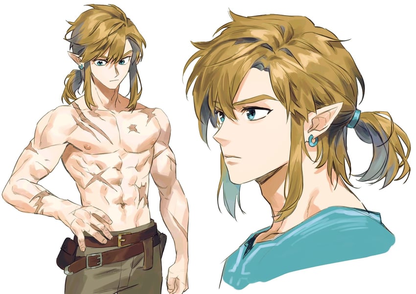link (the legend of zelda and 1 more) drawn by samban_doyo