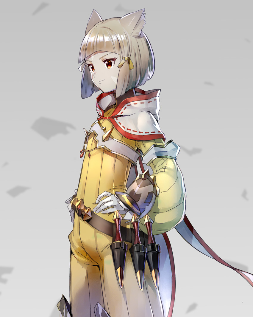 nia (xenoblade chronicles and 1 more) drawn by toraziron