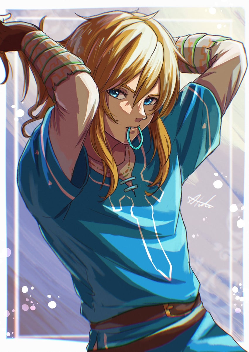 link (the legend of zelda and 1 more) drawn by sakuya_996