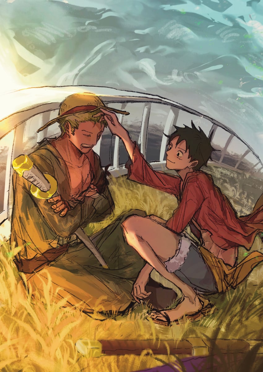 monkey d. luffy and roronoa zoro (one piece) drawn by nhi