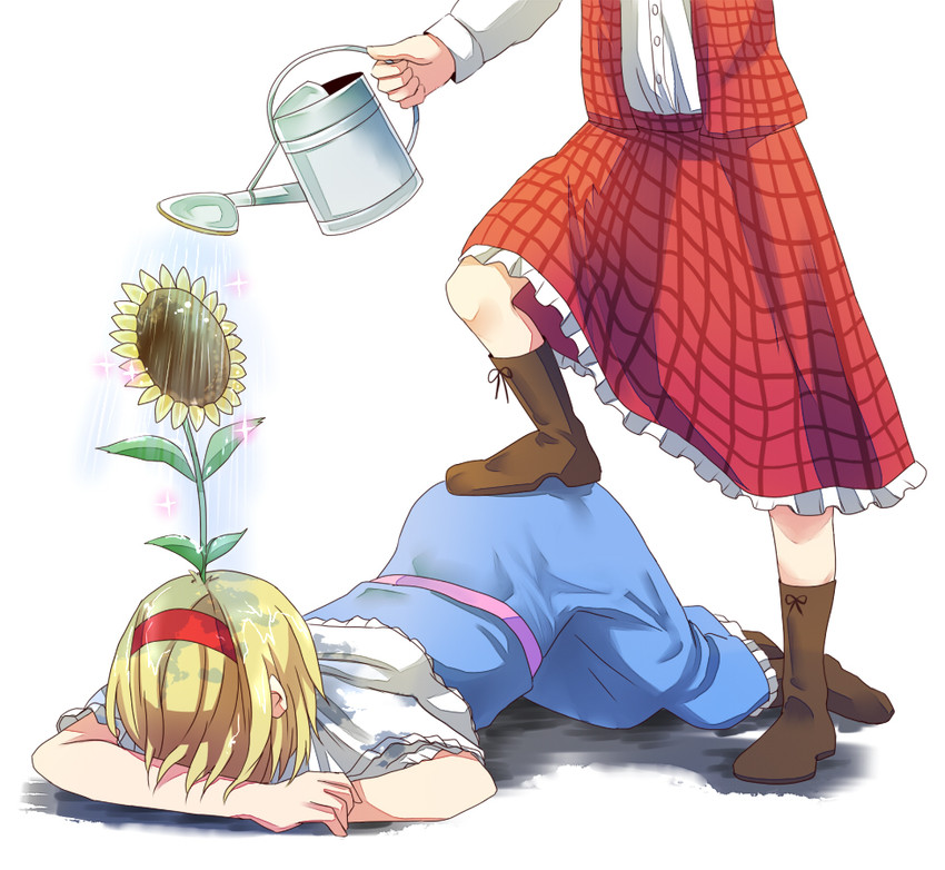 alice margatroid and kazami yuuka (touhou) drawn by michimaru_(michi)