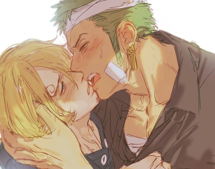 roronoa zoro and sanji (one piece) drawn by ynnn_m