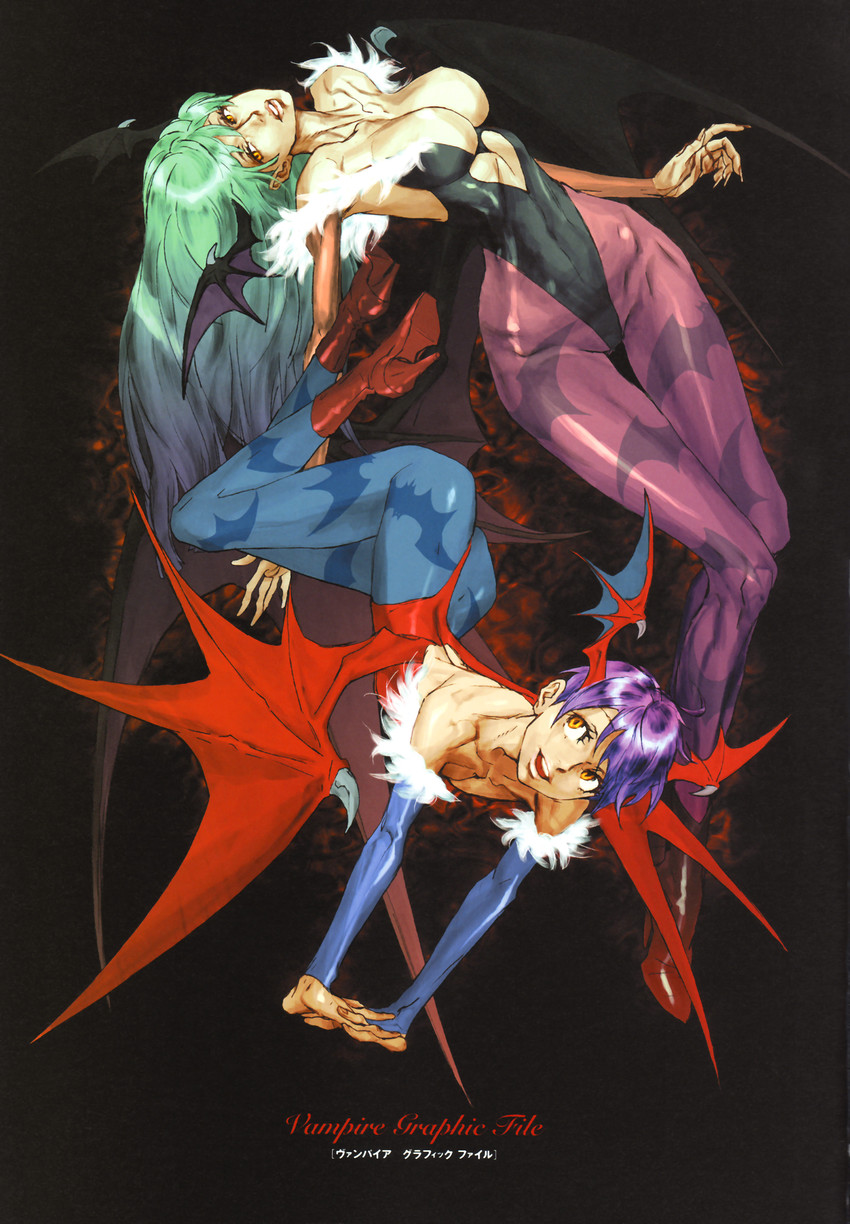 morrigan aensland and lilith (darkstalkers) drawn by nishimura_kinu