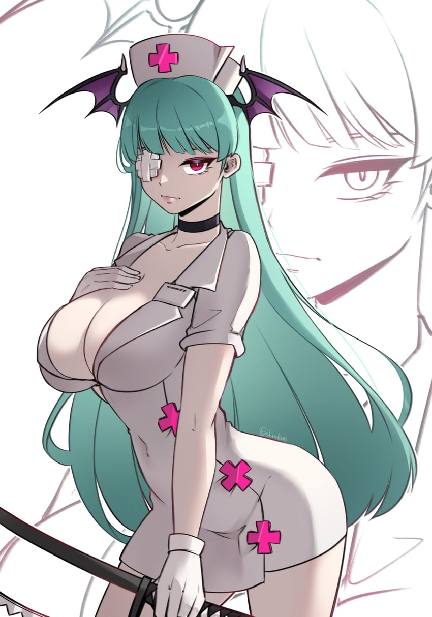 morrigan aensland and valentine (darkstalkers and 1 more) drawn by shinibun