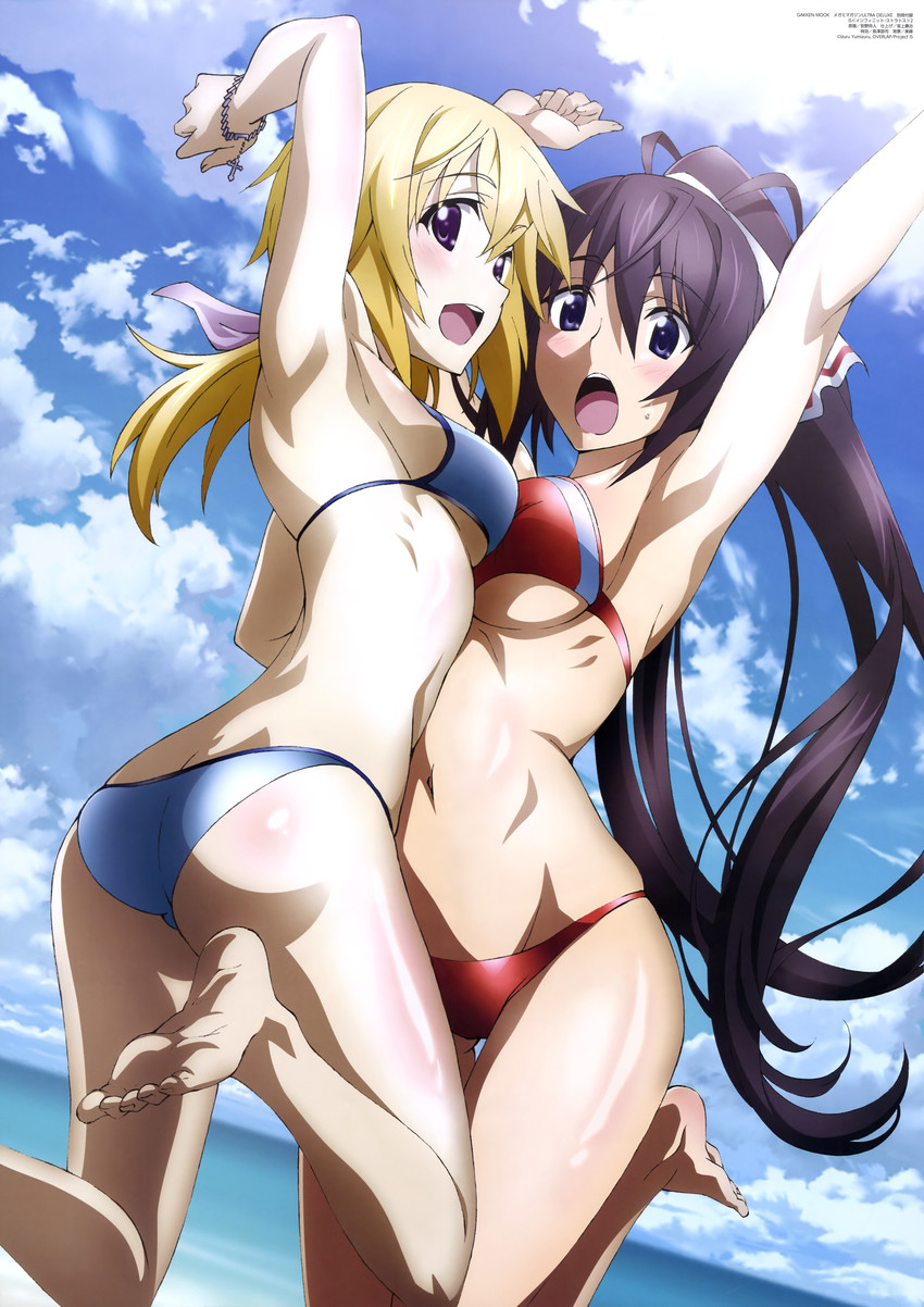 charlotte dunois and shinonono houki (infinite stratos) drawn by anno_masato