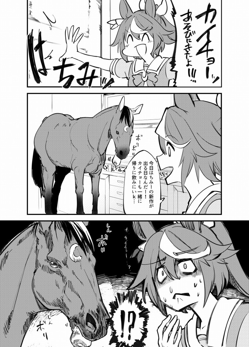tokai teio and symboli rudolf (umamusume) drawn by takatsuki_nato