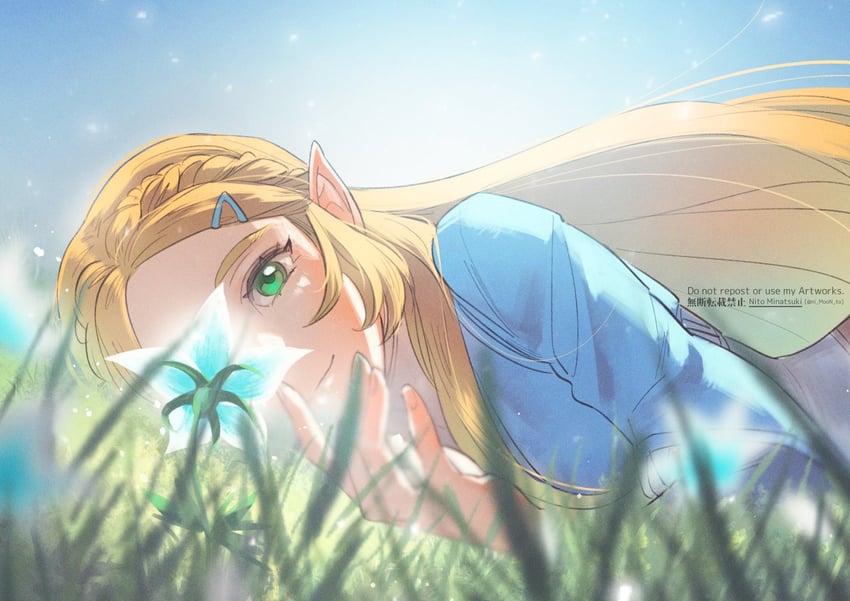 princess zelda (the legend of zelda and 1 more) drawn by nito_minatsuki