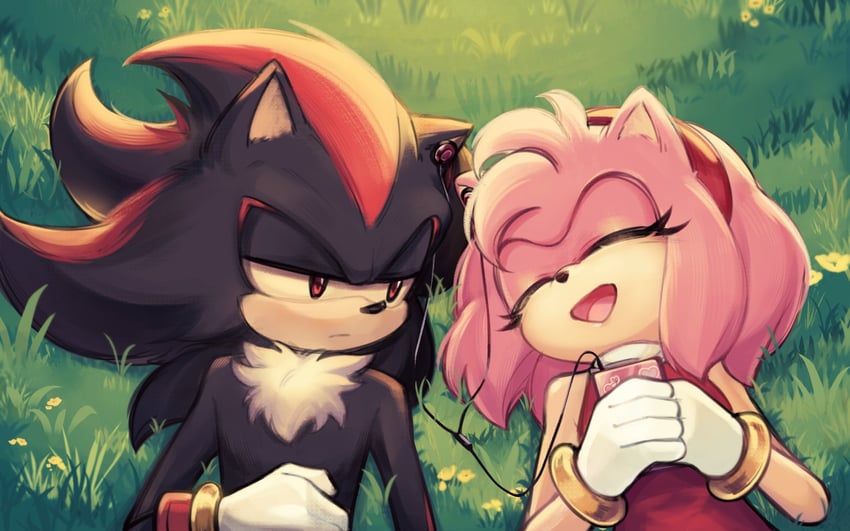 shadow the hedgehog and amy rose (sonic) drawn by bz_shawn