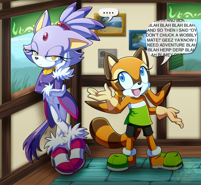 blaze the cat and marine the raccoon (sonic and 1 more) drawn by xerachiel