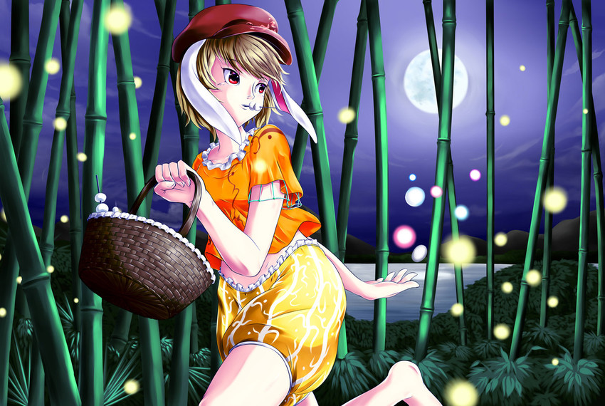 ringo (touhou) drawn by yomitrooper