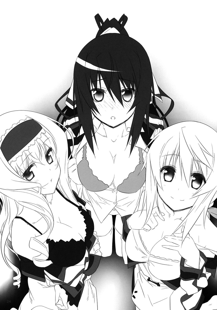charlotte dunois, cecilia alcott, and shinonono houki (infinite stratos) drawn by himura_kiseki