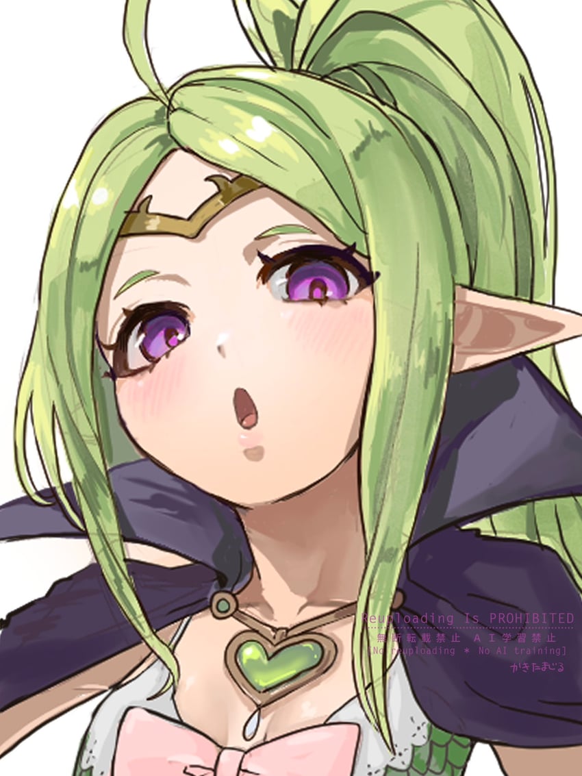 nowi (fire emblem and 1 more) drawn by iipzeyjhms0dohl