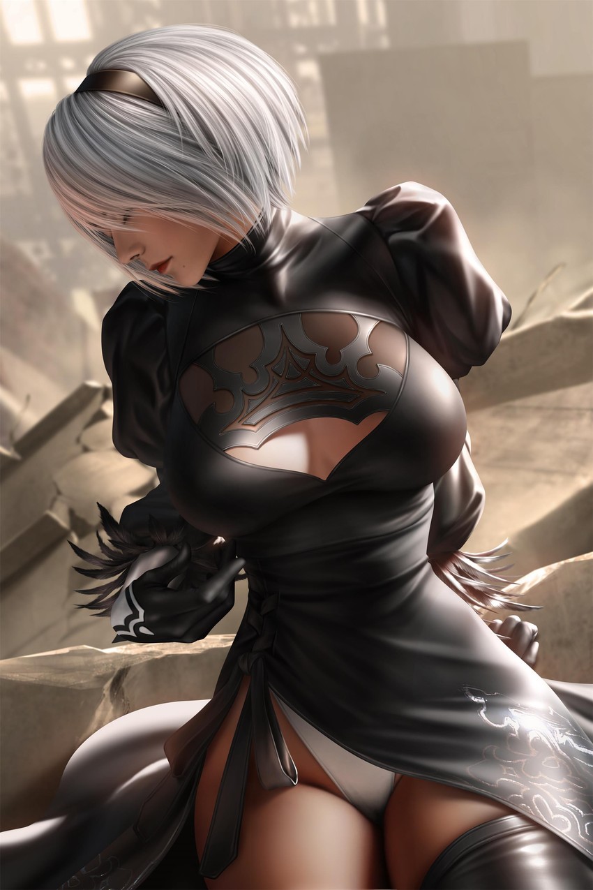 2b (nier and 1 more) drawn by cloud.d