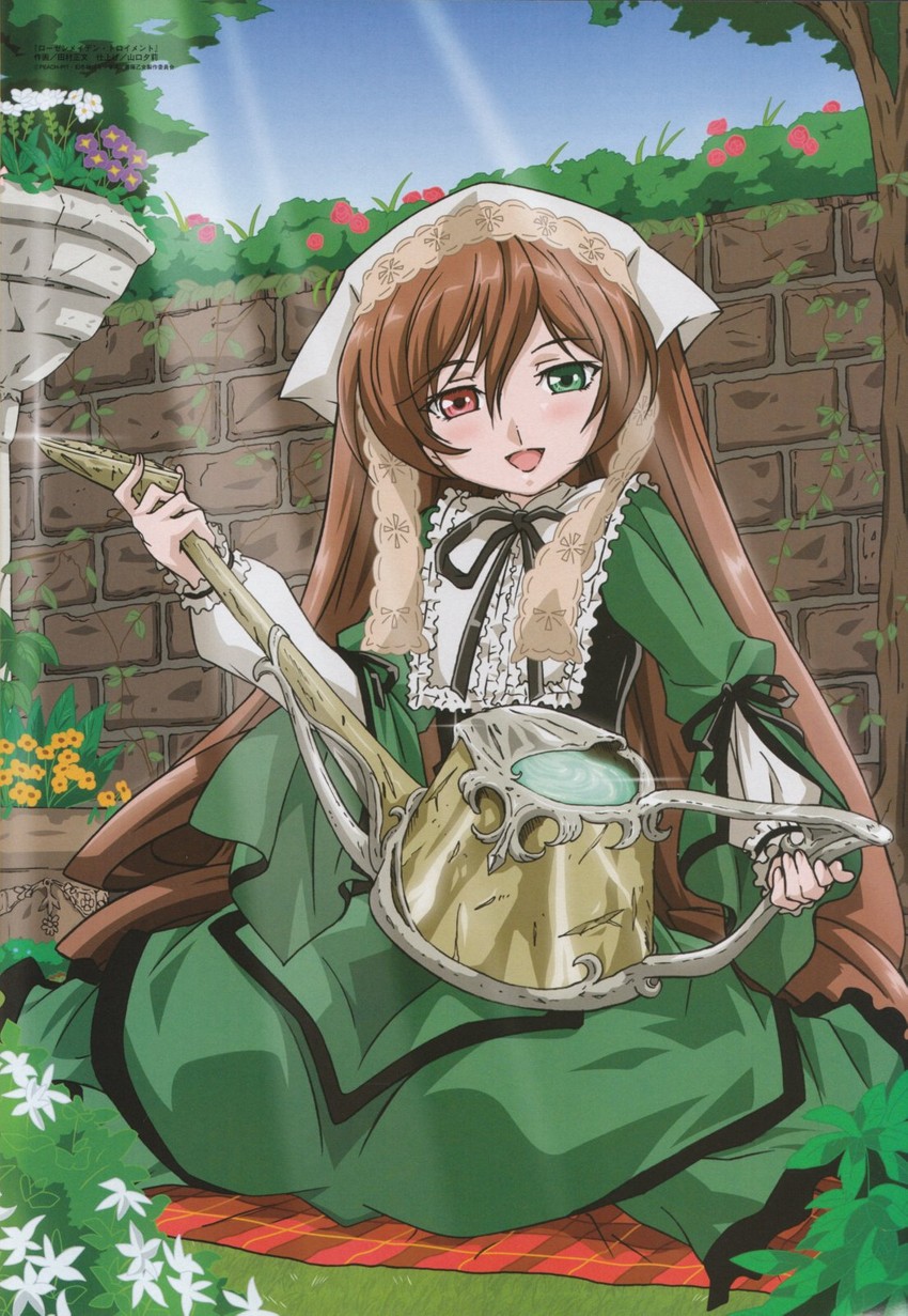 suiseiseki (rozen maiden and 1 more) drawn by tamura_masafumi