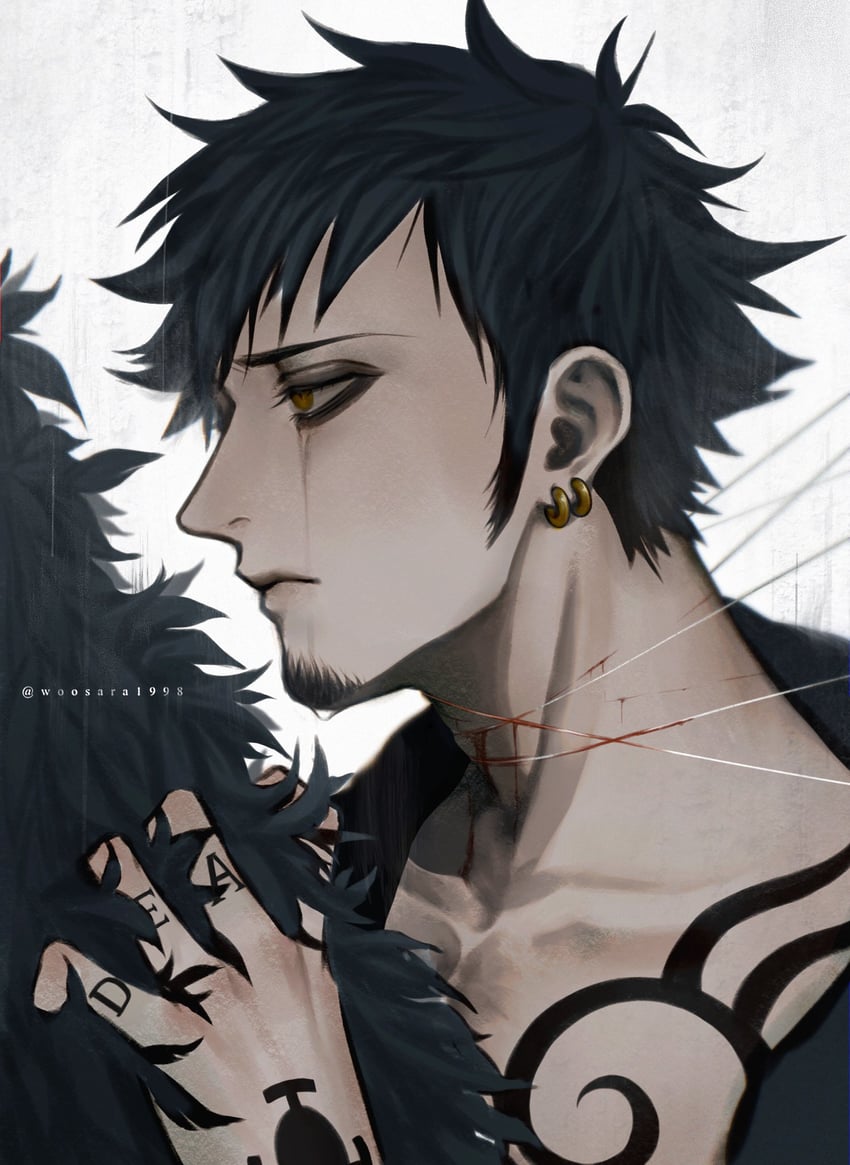 trafalgar law and donquixote rocinante (one piece) drawn by wosara